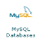 MySQL Databases