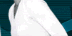 cPanel Help