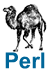 Perl Web Hosting Provider